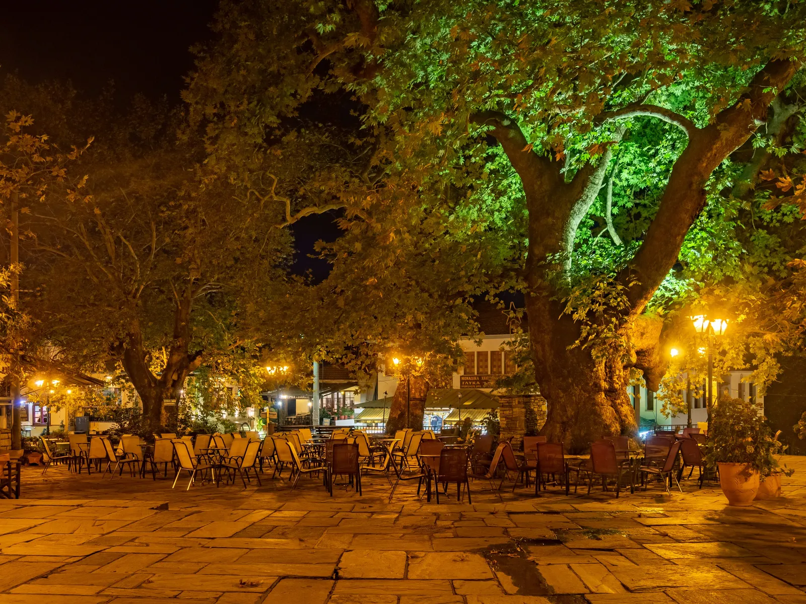 Η κεντρική πλατεία της Πορταριάς με τα πλατάνια
