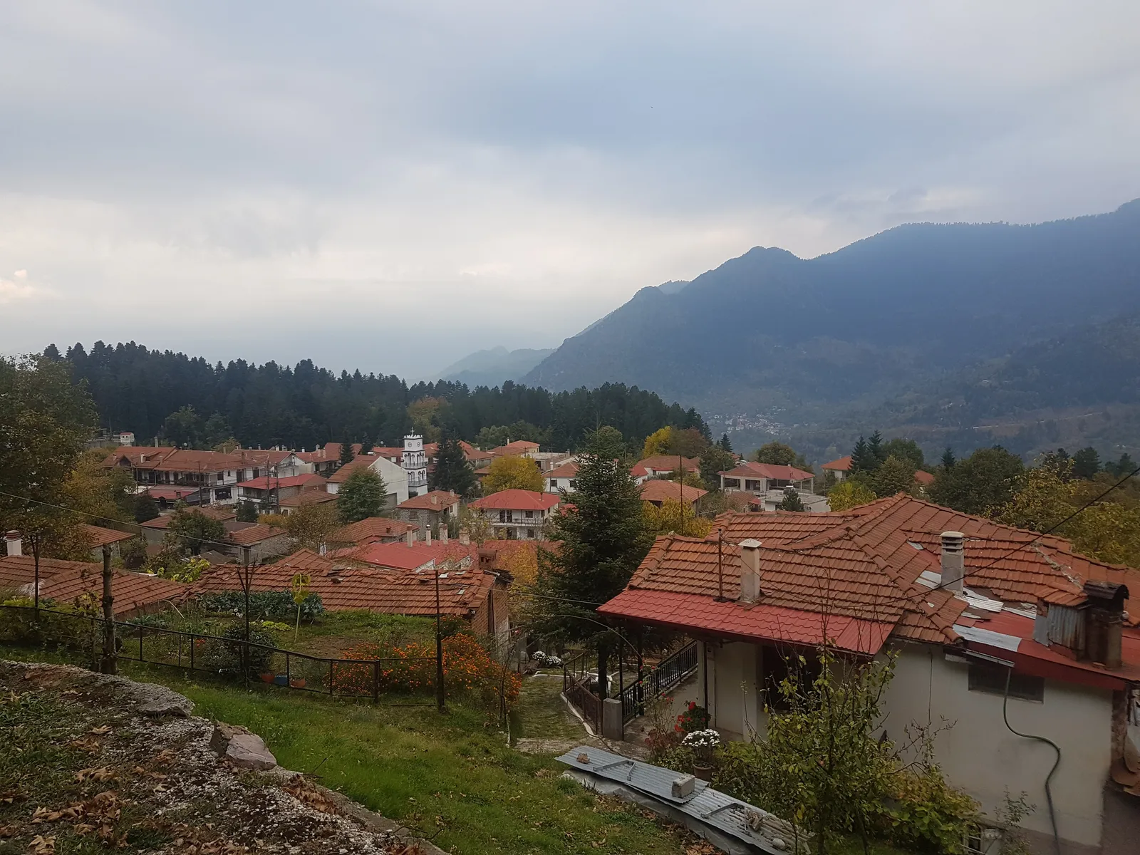 Άποψη της Ελάτης Τρικάλων με το δάσος γύρω της