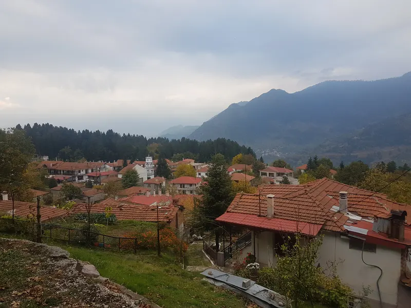 Άποψη της Ελάτης Τρικάλων με το δάσος γύρω της