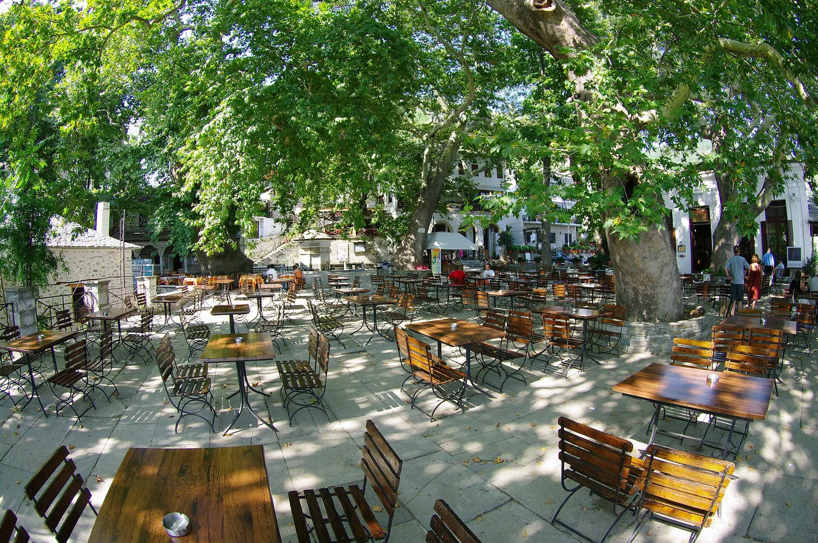 Η πλατεία της Μακρινίτσας με τα πλατάνια