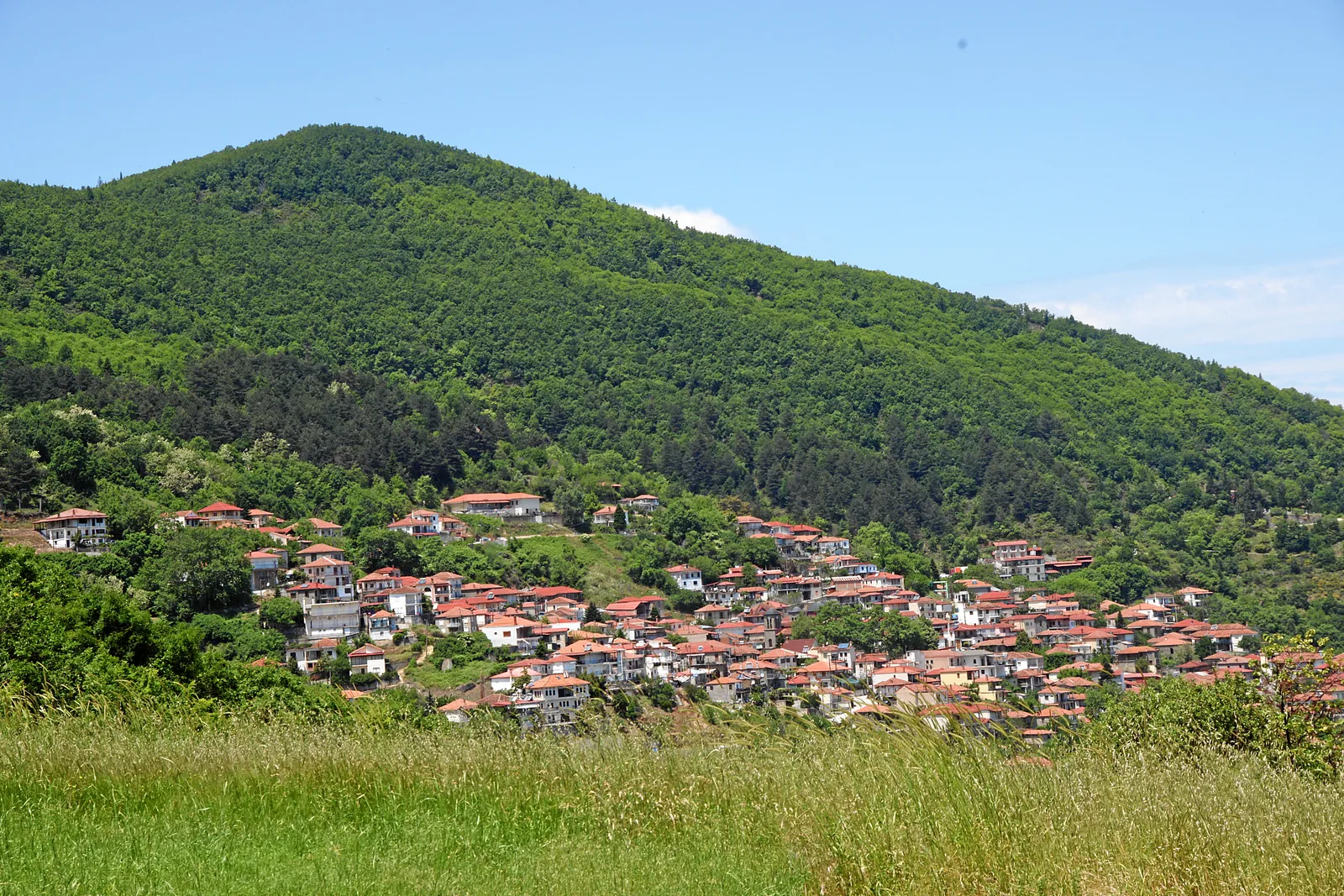 Mesenikolas, the wine village above the plain of Karditsa