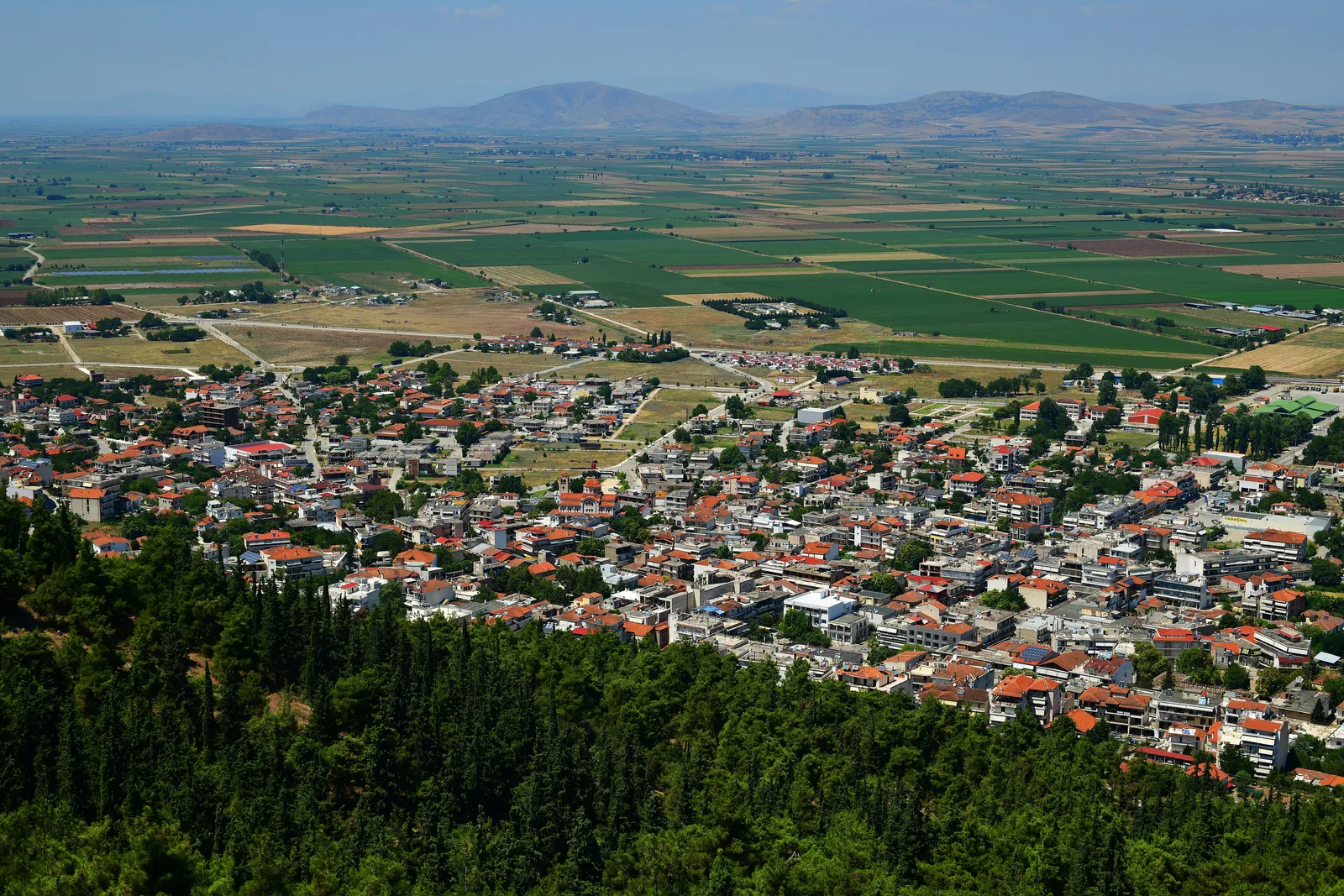 Ο θεσσαλικός κάμπος από την ακρόπολη της αρχαίας Φαρσάλου